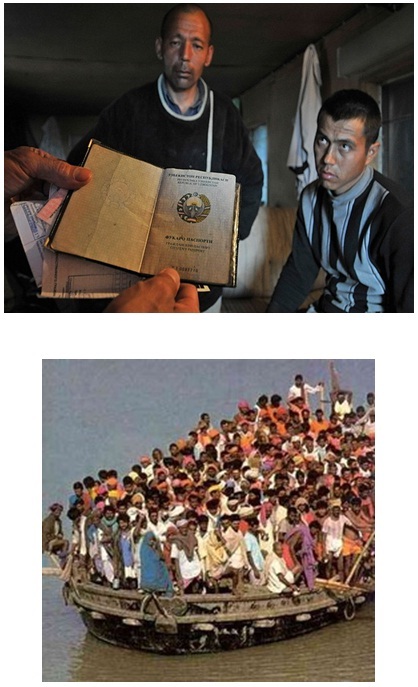 migration.jpg migration.jpg