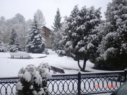 image011.jpg image011.jpg